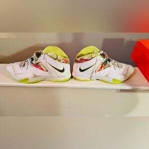 Lebron Solidier
Kings Pride
Size 15
Good Condition
Offers Welcome